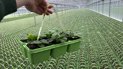 Reusable trays for every grower - M-plastics